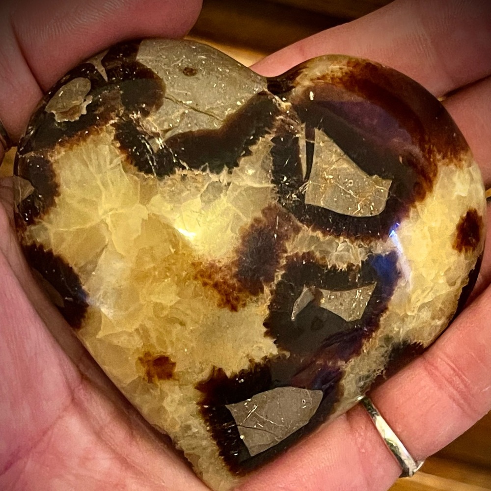 ✨ WOW ✨ Septarian aka Dragon Stone Heart Carved & Polished